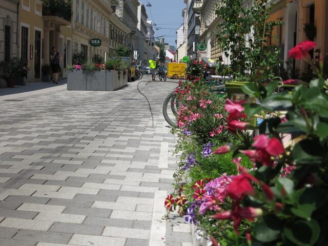 Blumen und Begrünung an Hauswänden helfen Hitzeinseln in der Innenstadt zu minimieren. | Foto: Agenda Josefstadt