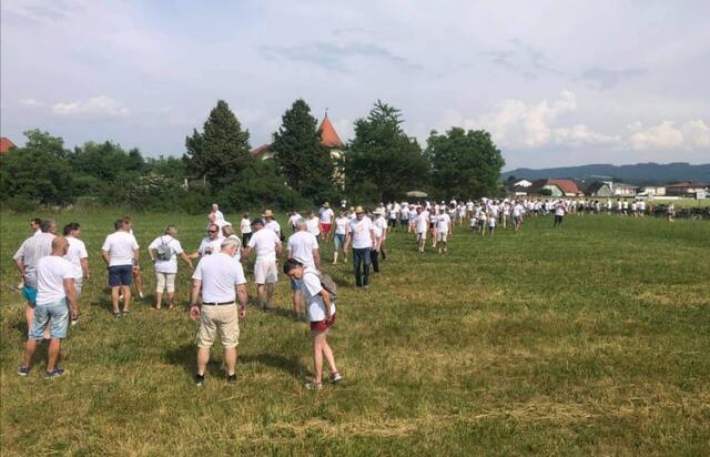 Hunderte Menschen kamen in die Felder rund um St. Georgen am Steinfelde. | Foto: Drexler