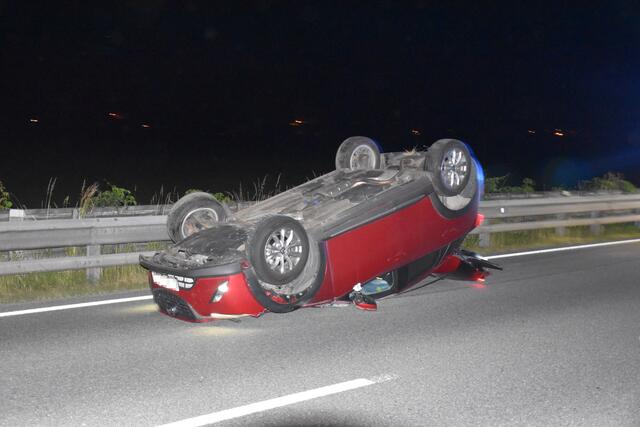 Das Fahrzeug überschlug sich. Für den Fahrer endete der Unfall glimpflich. Der Biber wurde getötet.