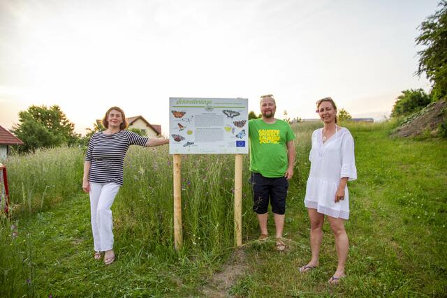 Auf Initiative der Grünen St. Martin hat die Gemeinde am „Natur im Garten“ - Projekt „Schmetterlinge fördern“ teilgenommen und eine „Schmetterlingswiese“ neu angelegt. | Foto: Grüne St. Martin 