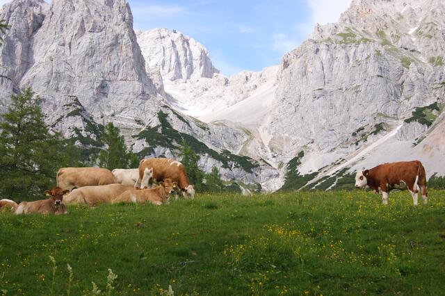 Das Wandern, die Erholung in der Natur und die Naturverbundenheit erleben einen neuen Höhenflug. | Foto: C. Pendl