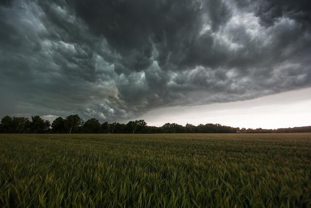 Es braut sich schon wieder etwas zusammen: Schwere Unwetter sind heute Abend vor allem im Inn- und Mühlviertel wahrscheinlich.