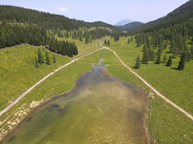 Beinahe 4 Kilometer lang ist die relativ flach verlaufende Strassenverbindung von der Egger- zur Dellacher Alm, vorbei am naturbelassenen Eggeralm-See. | Foto: Jost