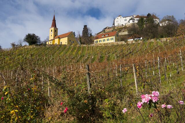 In der Region rund um das Schloss und den Kapfensteiner Kogel finden die Menschen Erholung und Kraft.