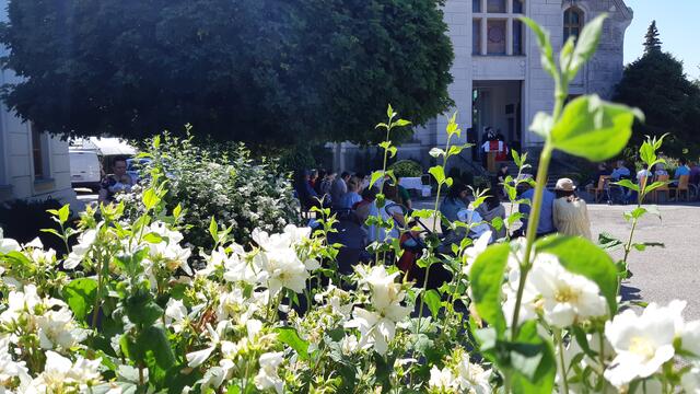 "Fest des Lebens" vor der Heilandskirche auf dem Zentralfriedhof | Foto: C. Buchar