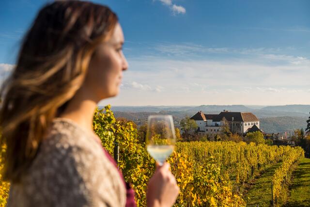 In der Region rund um das Schloss und den Kapfensteiner Kogel finden die Menschen Erholung und Kraft.