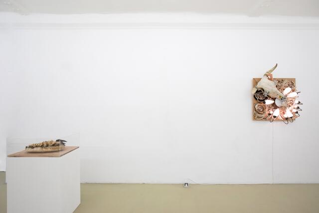 Kunst-Ausstellung WEIßT DU, SCHWARZT DU? (30 Jahre Daniel Spoerri)  | Foto: Krinzinger Schottenfeld/Anna Donadel