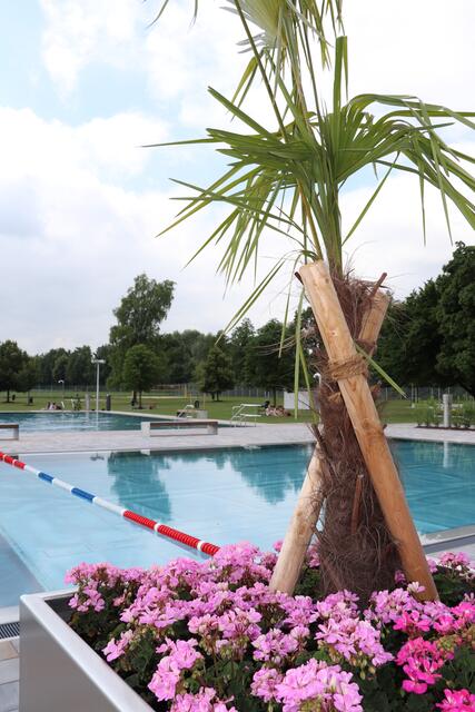 Auch das Familienbecken und die riesige Liegewiese bieten viel Platz für Wasserratten. | Foto: Haindl