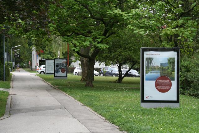 Beim Bergtaidingweg (Foto) bei de Ada-Christen-Gasse befindet sich die Heimspiel-Arena 1. | Foto: Karl Pufler