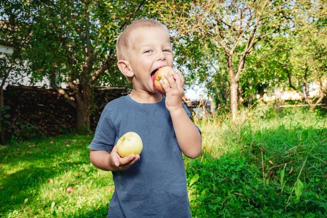 Immer mehr Eltern wünschen sich, dass ihre Kinder naturnah aufwachsen. | Foto: zVg