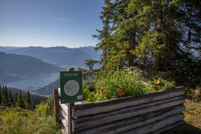 Genussvolle Kraut und Ruam Wanderung vor traumhafter Kulisse | Foto: Schmittenhöhebahn AG/Faistauer Photography