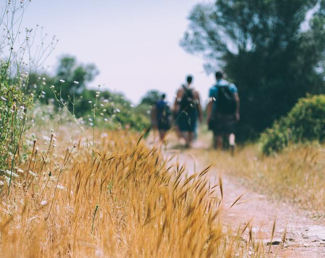 Beim Weinwandern kommen nicht die Großen auf ihre Kosten.  | Foto: unsplash