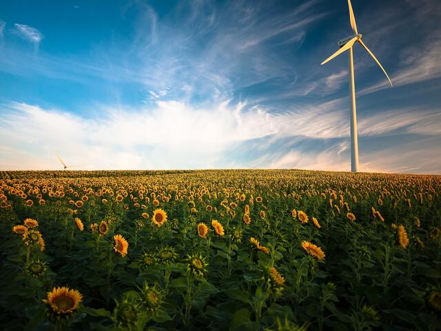 Klimaaktivisten begrüßen die Einigung auf das neue Gesetz.