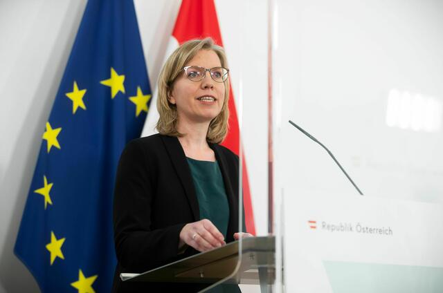 Bis 2030 soll Österreich 100 Prozent des Eigenbedarfs aus grünen Quellen wie Wasser, Sonne oder Wind decken, so die Umweltministerin.