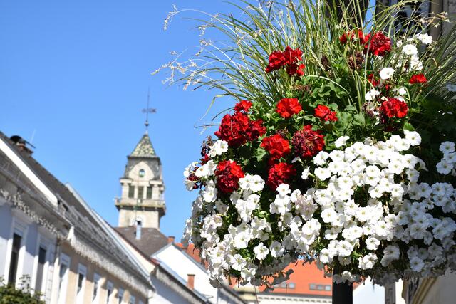 Die nächste Gemeinderatssitzung findet am 31. März in Leibnitz statt. | Foto: Waltraud Fischer