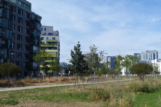 In vier Spaziergängen können Wiener im Sommer das neu erbaute Sonnwendviertel kennenlernen. | Foto: GB