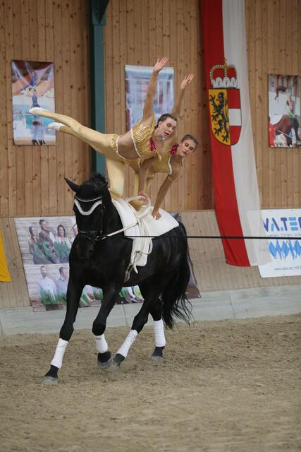 Die Voltigiergruppe des Reitclubs Seefeld fährt zur WM nach Frankreich. | Foto: Rainer Bachbauer