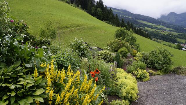 Für das eigene Herbarium geht es in Hubers Garten und auf die angrenzende Wiese.