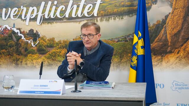 Dieter Dorner, FPÖ