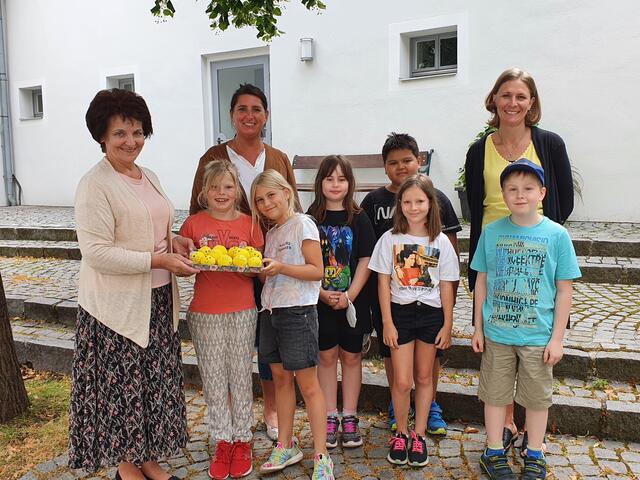 Bgm. Ludmilla Etzenberger (1.v.l.), VS-Direktorin Margot Stastny-Braun, BEd MEd (3.v.l.), Lehrerin Birgit Gruber (2.v.r.) mit Ellena Lang, Anna Holzer, Nicole Schitzenhofer, Lennard Braun, Spohie Miant, Elias Lachinger aus der 3c Klasse bei der Übergabe der „Anti-Stress-Bälle“ im Rathaushof.  | Foto: Stadtgemeinde Gföhl, DV