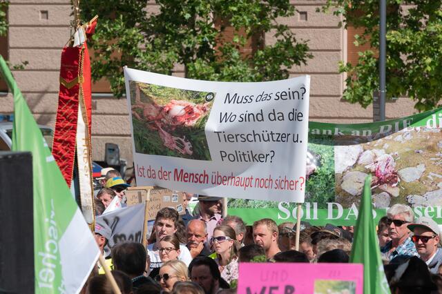 Foto: zeitungsfoto.at