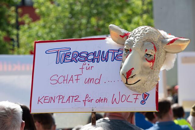 Foto: zeitungsfoto.at