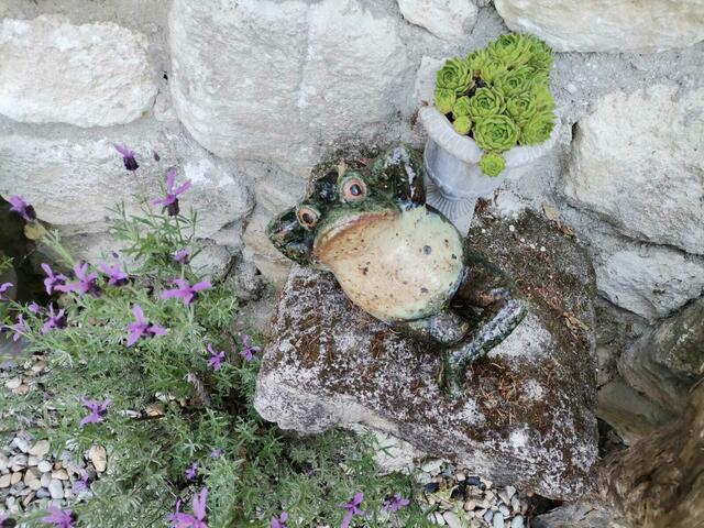 Foto: Familie Strass