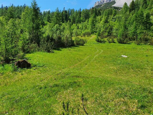 Quadfahren, Motorcross- und Endurofahren kann in der Natur großen Schaden anrichten. Wer erwischt wird, muss mit hohen Strafen rechnen. | Foto:  Ch. Rehrl