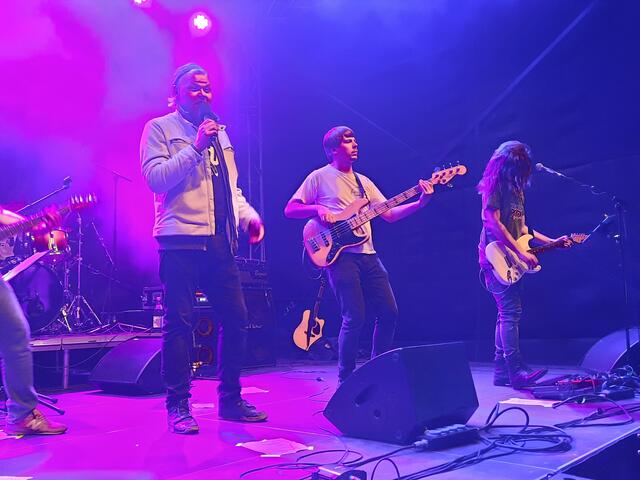 Krowodnrock Allstars - Tome Janković