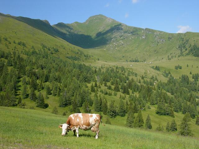 Das Gontal mit dem Kareck in voller Pracht. Der Anstieg erfolgt über den linken, der Abstieg über den rechten Rücken.  | Foto: Thomas Neuhold