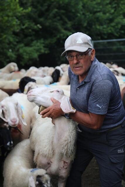 Schafhirte Anton Schreier will seine Tiere nicht dem Wolf überlassen. | Foto: Martina Schratzberger