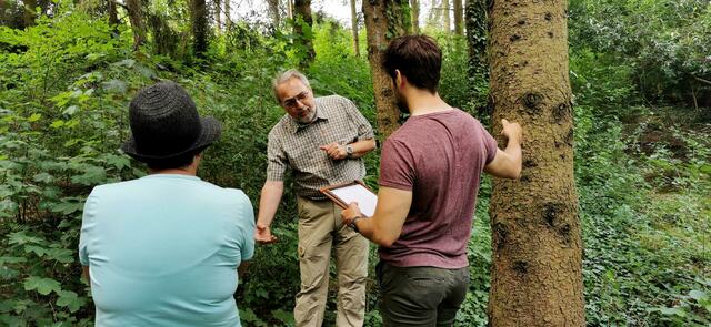 Bei Edlitz wird ein Konzept für klimafitte Wälder entwickelt. | Foto: Walli/BFW
