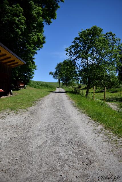 Ein mal nach oben bitte  | Foto: Gabriele P. 