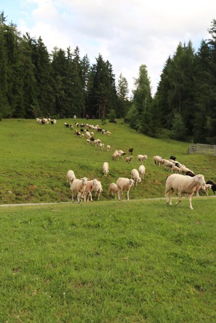 Foto: Martina Schratzberger