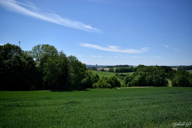 Herrlicher Ausblick  | Foto: Gabriele P. 