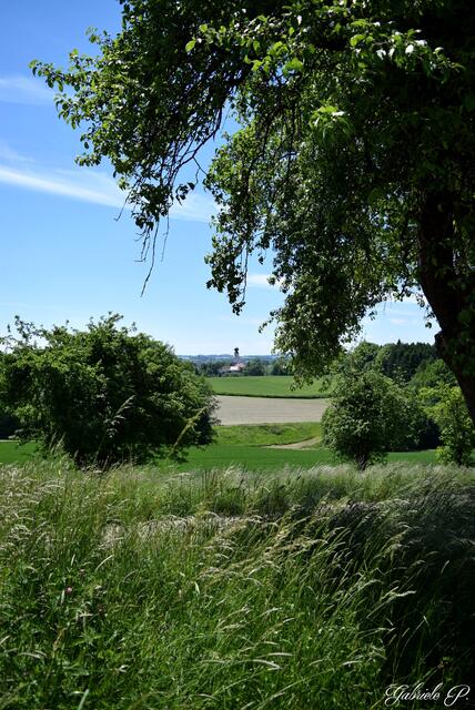 Blick auf Diersbach zurück  | Foto: Gabriele P. 