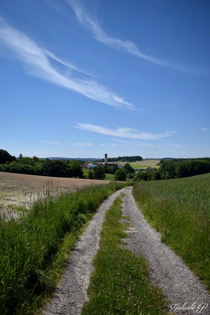 Blick zurück zur Kirche  | Foto: Gabriele P. 