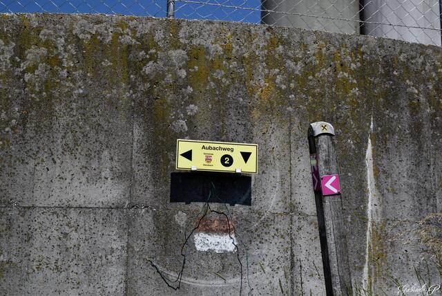 Unsere Wegweißer  | Foto: Gabriele P. 