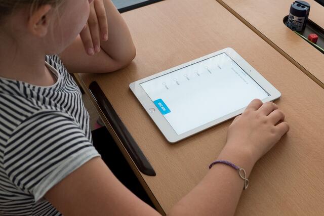 In den 5. und 6. Schulstufen wird künftig digital unterrichtet.  | Foto: pixabay