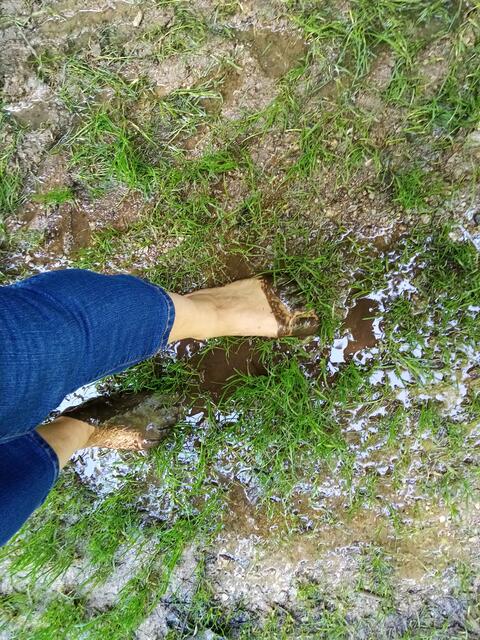 Da kommen Kindheitserinnerungen hoch 😍