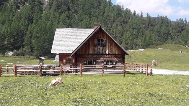 auch den Rindern geht es hier gut..
 | Foto: I.Wozonig
