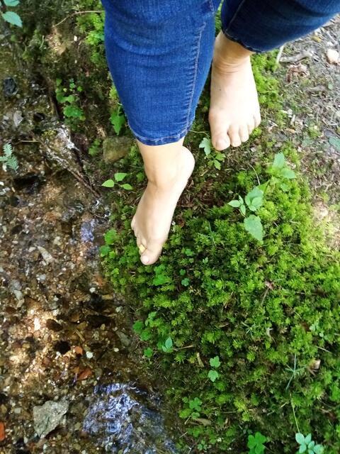 und danach in wohltuendes, erfrischendes Moos