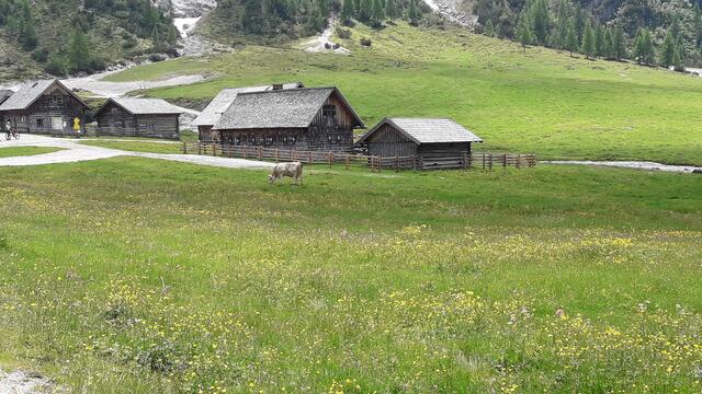 da kann man sich ,,Heidi" sehr gut vorstellen... | Foto: I.Wozonig