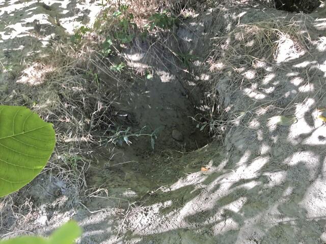 Der Rückzugsort für Wildtiere ist in Gefahr.