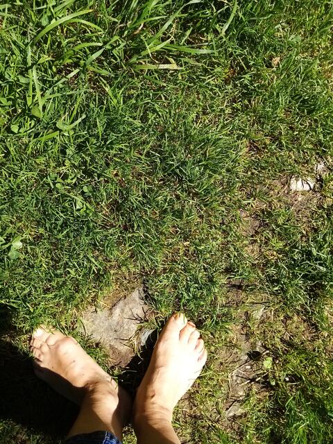 Ein Herz zu meinen Füßen