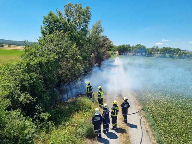 Drei Feuerwehren waren an der Löschung des Brandes auf einer abgelegenen Stelle beteiligt. | Foto: Feuerwehr Leithaprodersdorf/Yannic Sommer