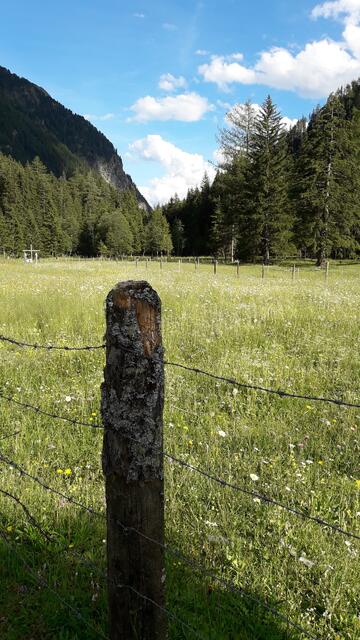 schön sind die Almwiesen zwischen den Bergen eingebettet... | Foto: I.Wozonig
