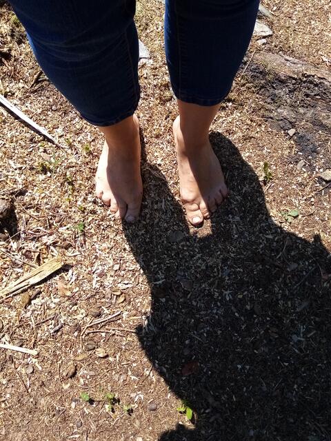 Vom Baumschnitt Sägespäne, die sind auch schön weich