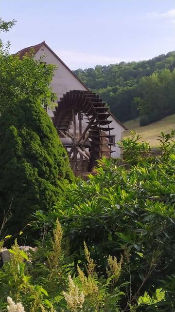 Am Mühlenweg entlang in Richtung Creglingen | Foto: Aina Geber