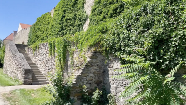 Foto: Fotos (alle) Triebelnig